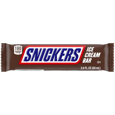 Snickers Giant 1 Pound Candy Bar - All City Candy