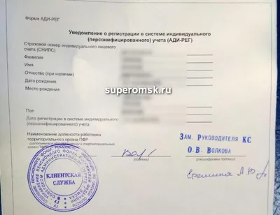 Паспорт, полис, СНИЛС: оренбуржцы могут получить QR-код без регистрации на  портале «Госуслуги»