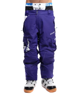 Штаны сноубордические Cool Zone Fox ВК1101/36 Холодный серый купить в  интернет-магазине DOUBLE SPORTS