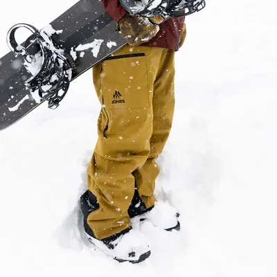 купить Jones Брюки сноубордические Mountain Surf Sierra в магазине Диана  спорт - товары для спорта и отдыха
