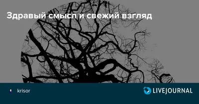 Осенние новые маленькие свежие вышитые кукольные воротники с длинными  рукавами и дизайнерским смыслом, шикарные свободные топы – купить по низким  ценам в интернет-магазине Joom