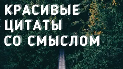 Красиво сказано: со смыслом. | ВКонтакте