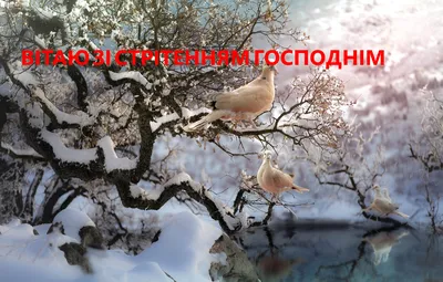 Со Сретением Господним 2022 – красивые поздравления с праздником в стихах –  открытки, картинки - ZN.ua