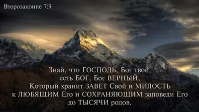 Комплект табличек из дерева, стихи из Библии, псалмы. (можно сделать любой  текст) (ID#1588981545), цена: 1580 ₴, купить на Prom.ua