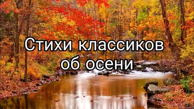 Стихи про осень. Учите наизусть вместе с детьми. — Кристина Вайсман на  TenChat.ru