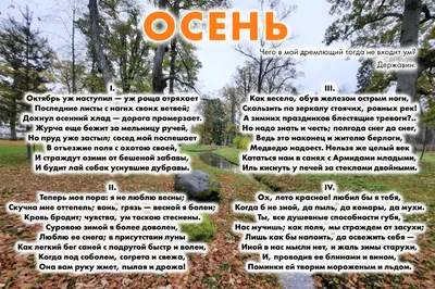 Стихи про осень для детей 6 - 8 лет - samohodik.ru | Короткие, русские