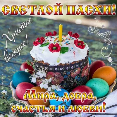 С праздником светлой Пасхи! - РКОБ им. проф. Е.В. Адамюка