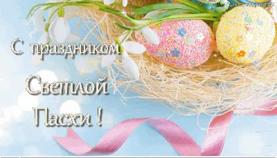 Христос Воскресе: лучшие открытки и поздравления со Светлой Пасхой-2022 -  sib.fm