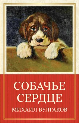 8 интересных фактов о фильме «Собачье сердце»