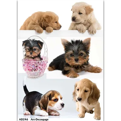 Салфетка новогодняя бумажная для декупажа Рождественские собака и кот |  интернет магазин АртДекупаж