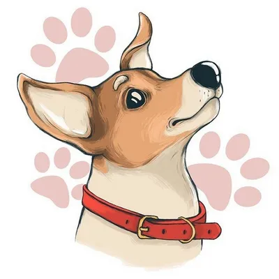 Рисунки простым карандашом собак поэтапно (49 фото) » рисунки для срисовки  на Газ-квас.ком