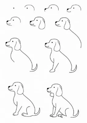 Рисунки щенков для срисовки (63 фото)