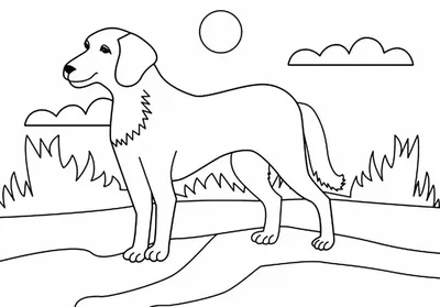 Самый легкие рисунки собаки (46 фото) » Рисунки для срисовки и не только