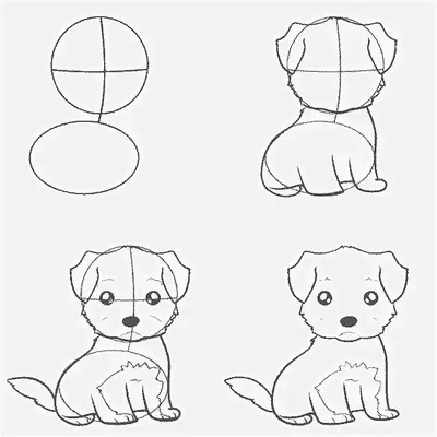 Рисунки собак для срисовки легко (17 шт)
