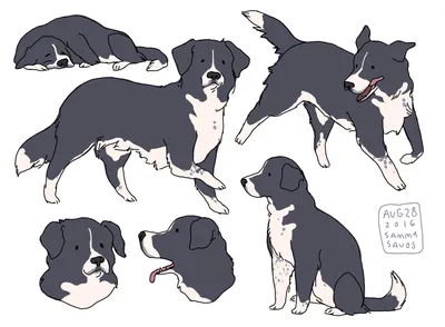 100 легких рисунков собак для срисовки