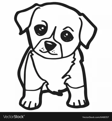 Как нарисовать СОБАКУ карандашом How to Draw a DOG | Art School - YouTube