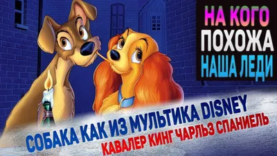 Мультфильм обвинили в отсутствии собак-негров, собак-инвалидов и геев -  Российская газета