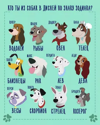 Мультфильмы про собак смотреть онлайн подборку. Список лучшего контента в  HD качестве