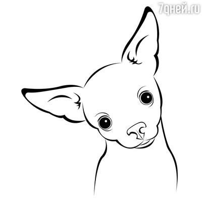 Картина Портрет собаки Собака карандашом Портрет по фото в  интернет-магазине Ярмарка Мастеров по цене 4165 ₽ – RC07CBY | Картины,  Алексеевка - доставка по России