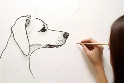 Рисунок собаки карандашом для срисовки легкие - 82 фото