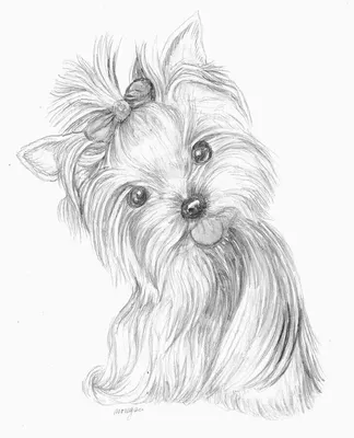 Детский рисунок карандашом легкий собака (46 фото) » рисунки для срисовки  на Газ-квас.ком