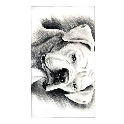 Как нарисовать собаку карандашом (55 фото) » Идеи поделок и аппликаций  своими руками - Папикпро.КОМ