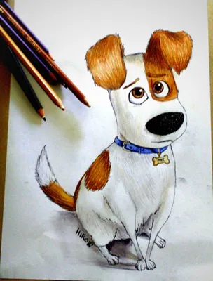 Собака рисунок карандашом для детей - 61 фото