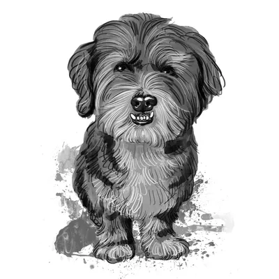 Иллюстрация линии собаки кувашок, черно-белые чернила, эскиз портрета лица  в векторе | Премиум векторы