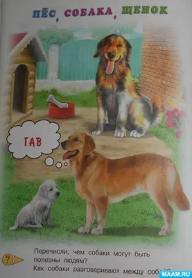 Собака рисования для детей простой вектор Иллюстрация вектора - иллюстрации  насчитывающей чертеж, колорит: 194467694