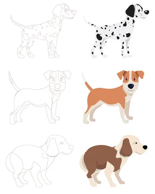 Раскраска животных собака. раскраски животных раскраска собака для детей.  Раскраски.