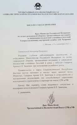 Глава ЛНР выразил соболезнования в связи с гибелью 14 человек в Новоайдаре  при обстреле ВСУ