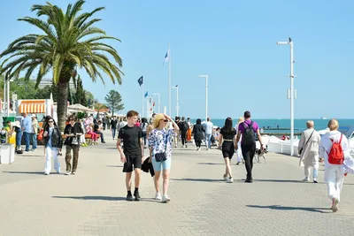 Отдых в Сочи летом 2023 | пляжи и жилье у моря, цены и отзывы
