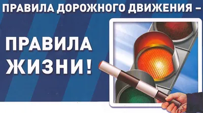 Новость в картинке: Простые правила безопасной езды в жару - 25 июня 2018 -  Фонтанка.Ру