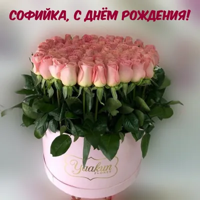 Открытки \"Соня, с Днем Рождения!\" (100 шт.)