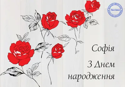 Вітаю сонечко, з днем народження! #деньнародження #українськийконтент... |  TikTok