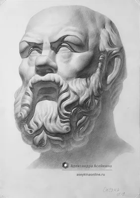 Сократ – стадии работы над рисунком ученика