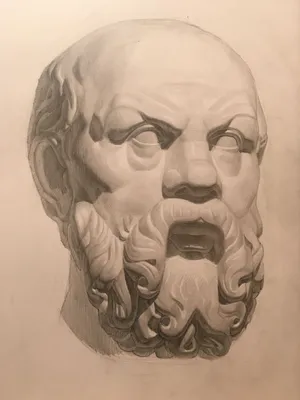 Сократ | Рисунки лица, Правила искусства, Рыбные иллюстрации