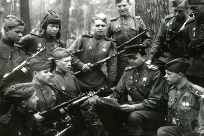 Сколько советских солдат без вести пропало на Великой Отечественной -  Рамблер/новости