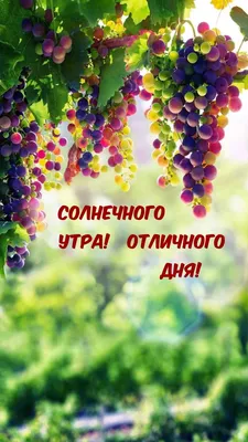 Солнечного дня! ~ Открытка (плейкаст)