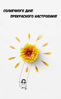 Красота флоры природы солнечного дня цветков лета Стоковое Фото -  изображение насчитывающей зеленый, мотивировка: 154423434