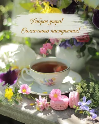 Доброе БЛАГОСЛОВЕННОЕ утро!!! Хорошего дня солнечного настроения отличной  погоды!❄❄❄ | ВКонтакте