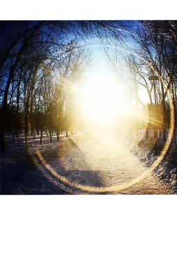 Купить цифровую версию картины: Архип Иванович Куинджи - Солнечный свет в  парке, Санкт-Петербург | Артхив