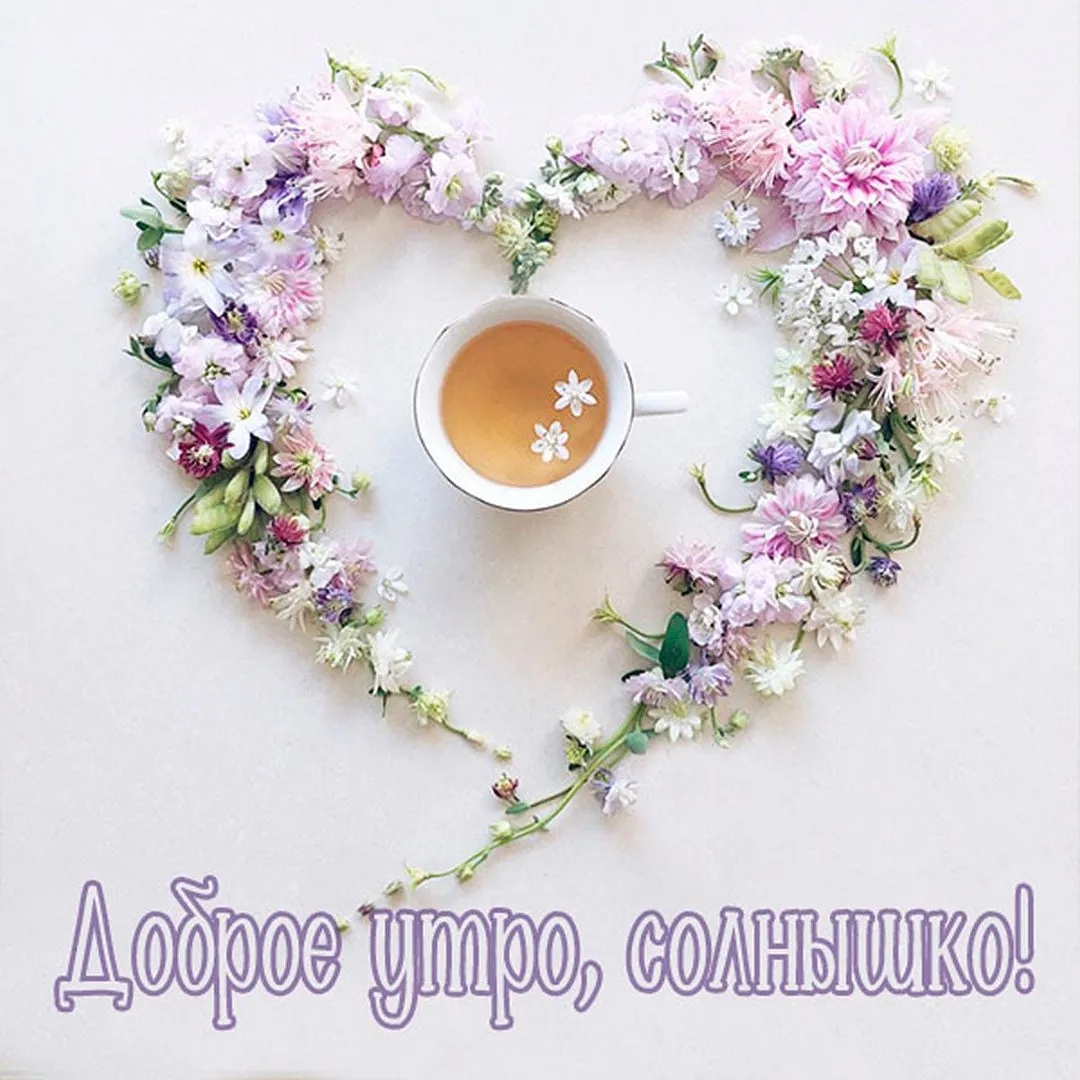 Доброе утро солнышко картинки позитивные