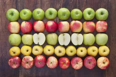 Сорта яблони - как подобрать саженцы для Вашего сада