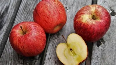 Зимние сорта яблок хранящиеся до весны | Agro-Market