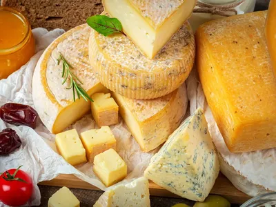 Классификация сыров. Твердый сыр и мягкий сыр