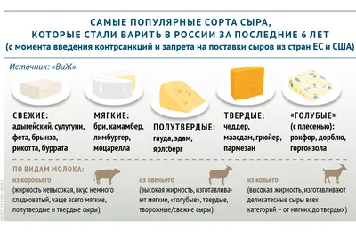Самые популярные сорта сыра в России | Ветеринария и жизнь