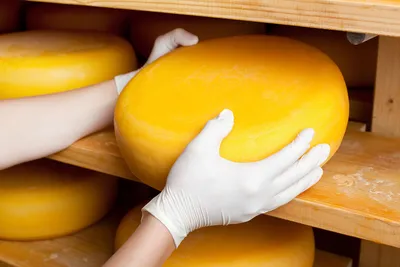 Врач назвала самые вредные сорта сыра | Новости Азовского района и Азова,  Ростовская область
