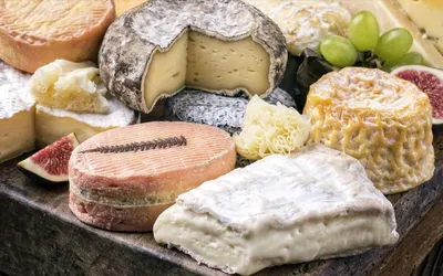 Отличные виды сыра для вашего стола: ТОП 10