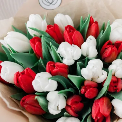 Махровые тюльпаны - ТОП 10 новых сортов «Блог Флориум.юа» 2021
